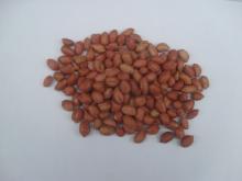 Peanut kernel