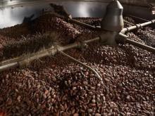 Organic Cocoa Powder
