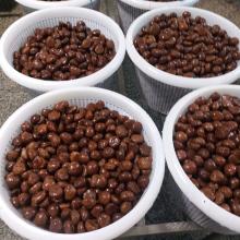 CHESTNUT IN SYRUP-9