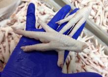 FROZEN GRADE A CHICKEN PAWS
