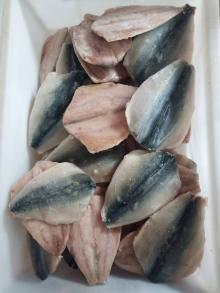 Frozen pacific mackerel butterfly  fillet s  IQF 