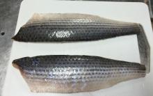 fillets Frozen grey mullet 200-400g/pc