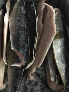 Frozen  Mahi   Mahi  fillets skin on