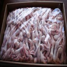 Frozen Chicken Feet, frozen beef , frozen whole chicken,