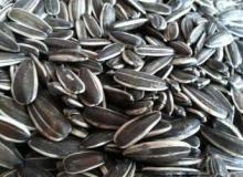 Sunflower seed