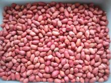 Best Quality Red Skin  Peanut   kernels   Round   Type /Long  Type 