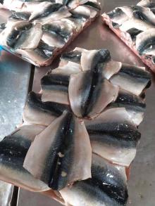 Frozen pacific mackerel butterfly fillets for canned BQF